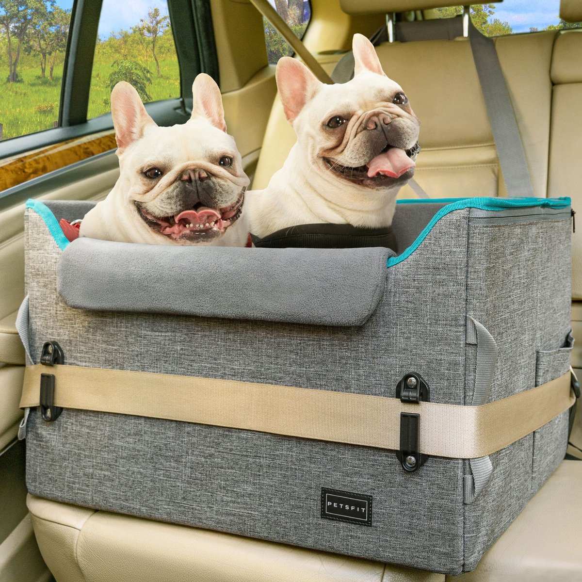 Petsfit Dog Car Booster Seat with 2 Clip-On Safety Leashes, Medium+, Gray
