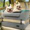 Show in main carousel: Petsfit Dog Car Booster Seat with 2 Clip-On Safety Leashes, Medium+, Gray slide 1 of 10