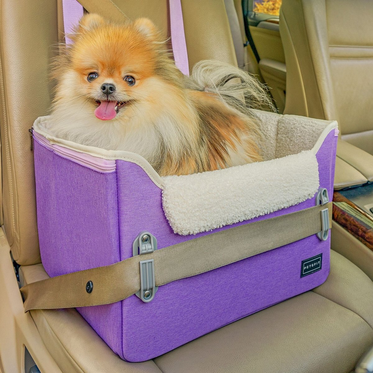 Petsfit Dog Car Booster Seat with Clip-On Leash & Adjustable Straps, Medium, Purple