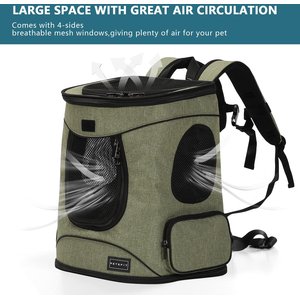 Petsfit Easy-Fit Airline Approved Backpack Dog & Cat Carrier, 13.5 x 12.5 x 17.5-in, Light Green