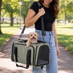 Petsfit Expandable Soft-Sided Dog & Cat Carrier, Green, 17 x 11 x 11-in slide 2 of 9