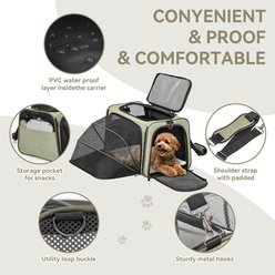 Petsfit Expandable Soft Carry Handle Dog & Cat Carrier Bag with Two Extension, Green, 17 x 11 x 11-in slide 2 of 9