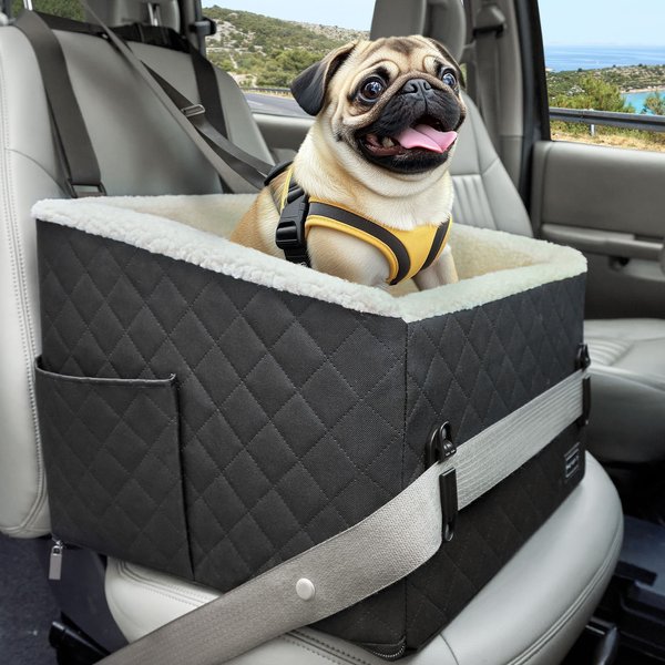 Photo inspiration: 10 Best Dog Car Seats 2026 According To Reviews Photo Inspiration