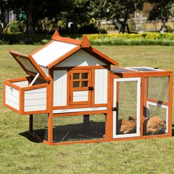 Petsfit Multi Level Chicken Coop, 5 Chicken Capacity slide 2 of 6