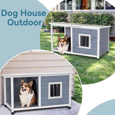 Show full view: Petsfit Porch & Window Wooden Outdoor Dog House, Light Gray, Large: 45.5-in slide 2 of 10
