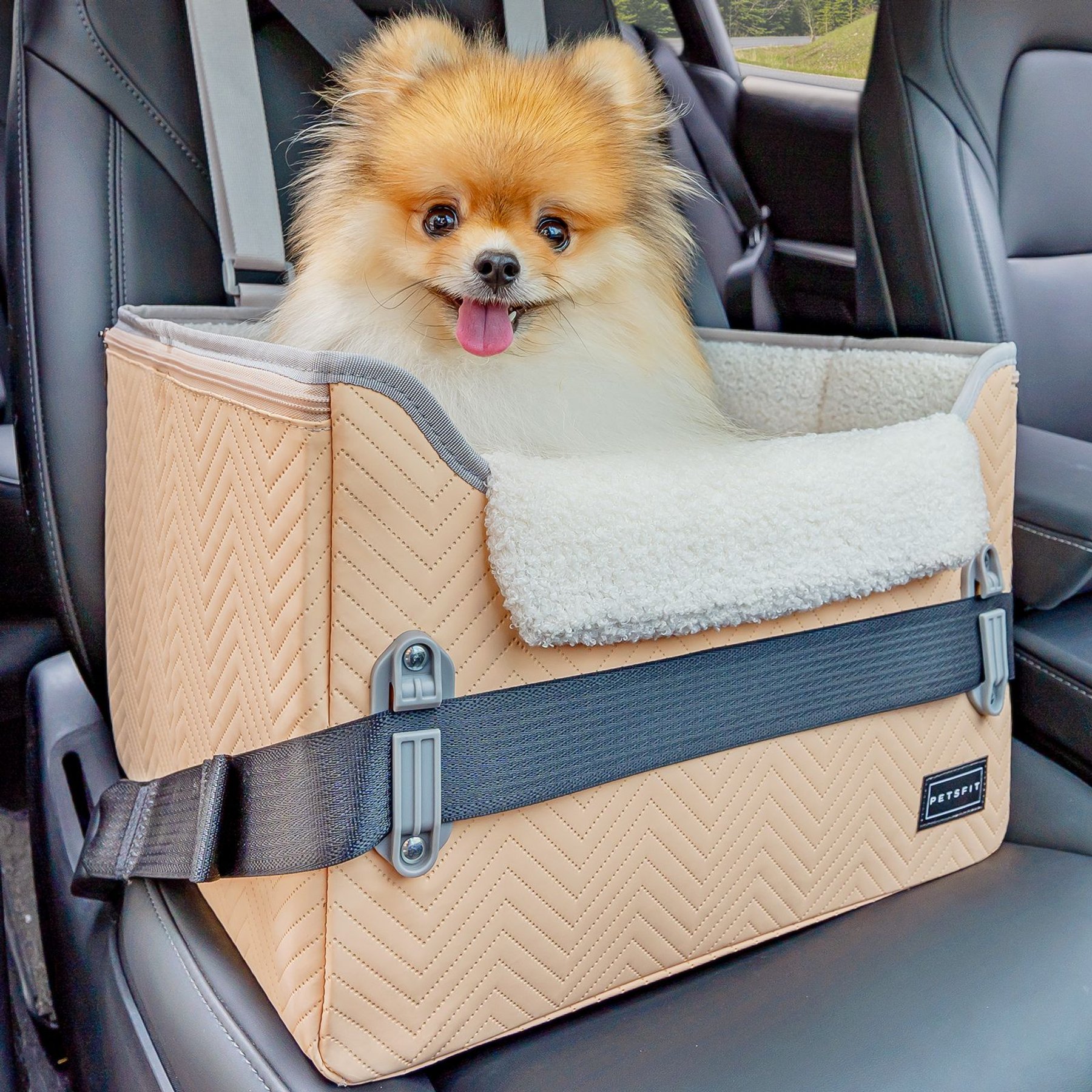 Petsfit Small Dog Car Booster Seat, Medium, Khaki