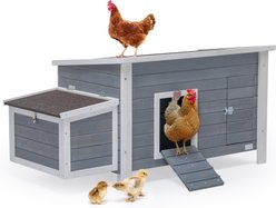 Petsfit Wooden Chicken Coop, 3 to 5 Chicken Capacity, Grey