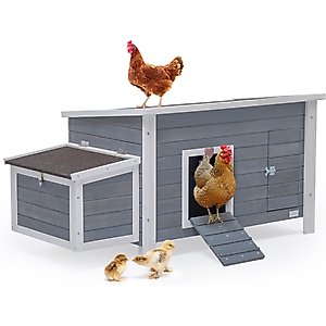 Petsfit Wooden Chicken Coop, 3 to 5 Chicken Capacity, Grey