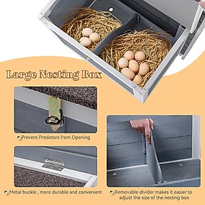 Petsfit Wooden Chicken Coop, 3 to 5 Chicken Capacity, Grey