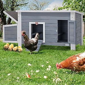 Petsfit Wooden Chicken Coop, 3 to 5 Chicken Capacity, Grey