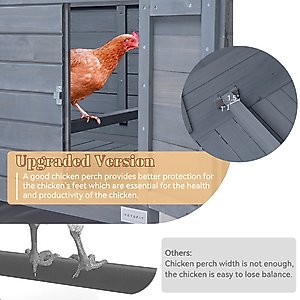 Petsfit Wooden Chicken Coop, 3 to 5 Chicken Capacity, Grey