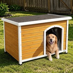 Petsfit Wooden Outdoor Dog House, Large: 45.6-in, Yellow