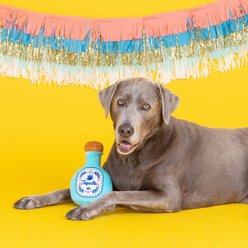 PETSHOP BY FRINGE STUDIO But First Tequila Squeaky Plush Dog Toy slide 2 of 3
