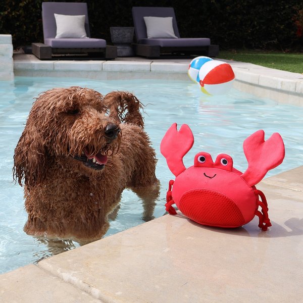 PETSHOP BY FRINGE STUDIO Bubbles Floating Dog Toy