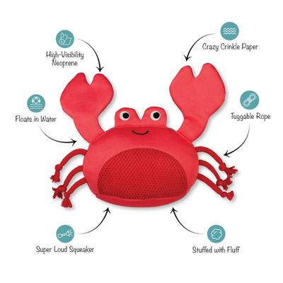 Show full view: PETSHOP BY FRINGE STUDIO Claws Floating Dog Toy slide 2 of 4