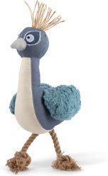 PETSHOP BY FRINGE STUDIO Fether Than Ever Earth Friendly Squeaky Plush Dog Toy