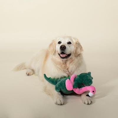 Show full view: PETSHOP BY FRINGE STUDIO Flamingo Fun Large Squeaky Plush Dog Toy slide 3 of 3