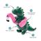 Show in main carousel: PETSHOP BY FRINGE STUDIO Flamingo Fun Large Squeaky Plush Dog Toy slide 2 of 3