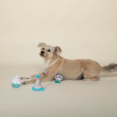 Show full view: PETSHOP BY FRINGE STUDIO Happy Bark-Day Small Plush Dog Toys, 3 count slide 3 of 3