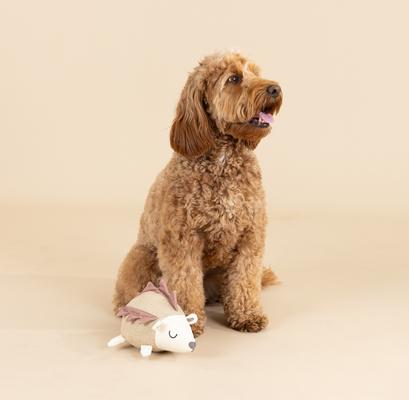 Show full view: PETSHOP BY FRINGE STUDIO Hedgy Earth Friendly Squeaky Plush Dog Toy slide 4 of 4