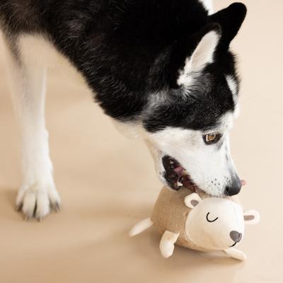 Show full view: PETSHOP BY FRINGE STUDIO Hedgy Earth Friendly Squeaky Plush Dog Toy slide 3 of 4