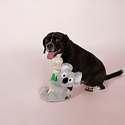 PETSHOP BY FRINGE STUDIO Koala-Plush Squeaky Plush Dog Toy slide 2 of 3