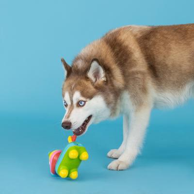 Show full view: PETSHOP BY FRINGE STUDIO Life's A Paw-Ty Squeaky Dog Toy slide 3 of 4