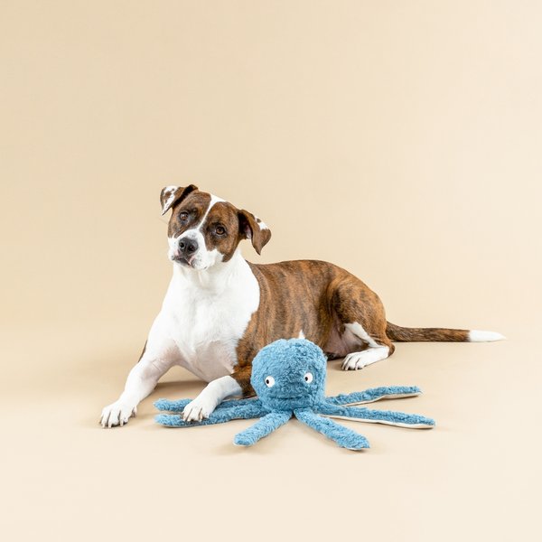 PETSHOP BY FRINGE STUDIO Long Time No Sea 3D Earth Friendly Squeaky Plush Dog Toy
