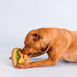 PETSHOP BY FRINGE STUDIO Say Cheese! Tough Plush Dog Toy slide 2 of 4