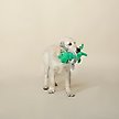 Show in main carousel: PETSHOP BY FRINGE STUDIO Shark Week Rex Squeaky Plush Dog Toy slide 3 of 3