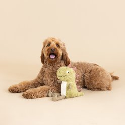 PETSHOP BY FRINGE STUDIO Small Arms, Big Heart Earth Friendly Squeaky Plush Dog Toy slide 2 of 4
