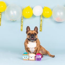 PETSHOP BY FRINGE STUDIO Sticky Situation Squeaky Plush Dog Toys, 3 count slide 2 of 3