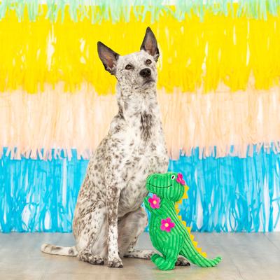 Show full view: PETSHOP BY FRINGE STUDIO Thorny But Cute Squeaky Plush Dog Toy slide 3 of 4