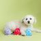 Show in main carousel: PETSHOP BY FRINGE STUDIO Too Tentacool Small Squeaky Plush Dog Toys, 3 count slide 4 of 4