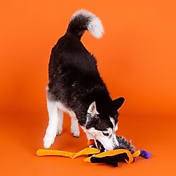 PETSHOP BY FRINGE STUDIO Trappin Flies Plush Dog Toy slide 2 of 3