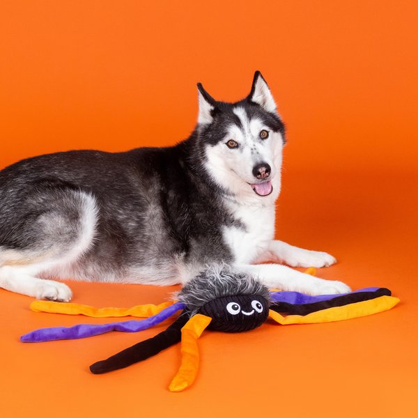 PETSHOP BY FRINGE STUDIO Trappin Flies Plush Dog Toy