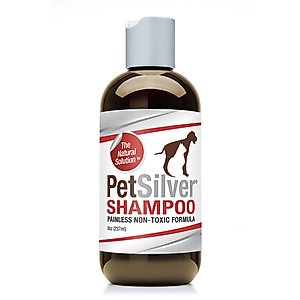 PetSilver Antimicrobial Dog & Cat Shampoo, 8-fl oz bottle