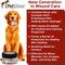 Show in main carousel: PetSilver Chelated Silver with Hemp Oil Wound Gel for Dogs & Cats, 4-oz jar slide 3 of 7