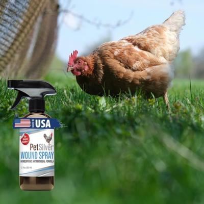 Show full view: PetSilver Chicken & Bird Wound Spray, 12-fl oz bottle slide 8 of 10
