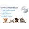 Show in main carousel: PetSilver Respiratory Cough & Immune Support for Dogs & Cats, 2-fl oz bottle slide 8 of 9