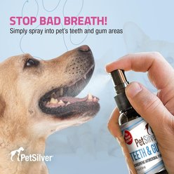 PetSilver Teeth & Gum Dog Dental Spray, 4-fl oz bottle slide 2 of 8