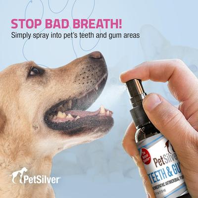 Show full view: PetSilver Teeth & Gum Dog Dental Spray, 4-fl oz bottle slide 3 of 9
