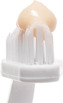 Show full view: Petsmile Professional Natural London Broil Flavor Toothpaste, 2.5-oz tube + Dog & Cat Toothbrush slide 9 of 9