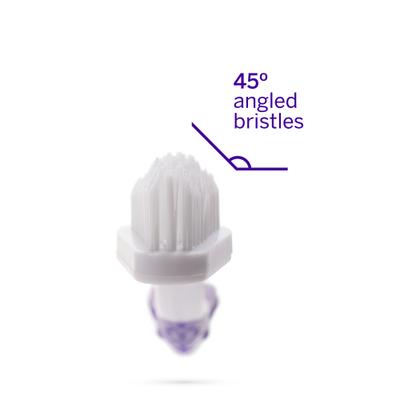 Show full view: Petsmile Professional Toothbrush + Rotisserie Chicken Flavor Dog Toothpaste, 4.2-oz tube slide 4 of 9