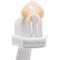 Show in main carousel: Petsmile Professional Toothbrush + Rotisserie Chicken Flavor Dog Toothpaste, 4.2-oz tube slide 5 of 9