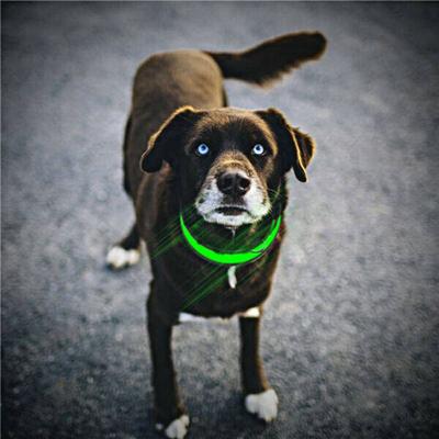 Show full view: Petsonik Standard LED Dog Collar Blue Medium slide 4 of 11