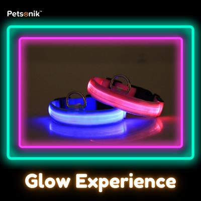 Show full view: Petsonik Standard LED Dog Collar Blue Medium slide 6 of 11