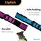 Show in main carousel: Petsonik Standard LED Dog Collar Blue Medium slide 7 of 11