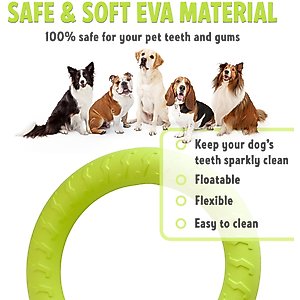 PetSpy Fitness Ring Dog Toy, Green, Large, 1 count