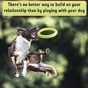PetSpy Fitness Ring Dog Toy, Green, Large, 1 count